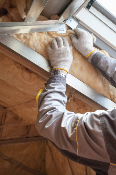 Best Eco-Friendly or Green Insulation Solutions  in Montverde, FL